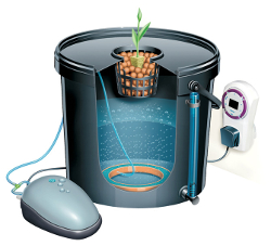 Grow Kits and Systems